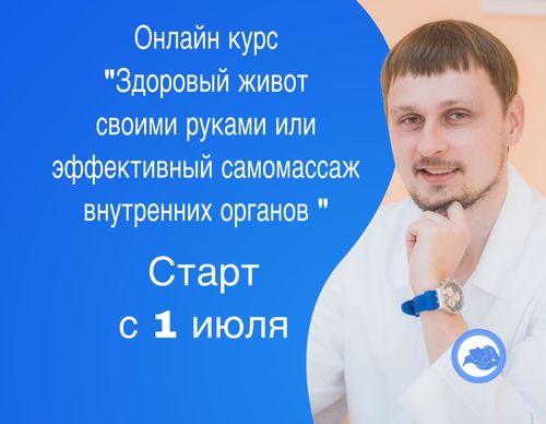 [Александр Иванов] Здоровый живот своими руками ил_0.jpg